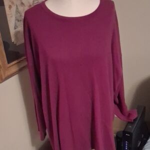 Eskandar Berry Long Sleeve Tunic